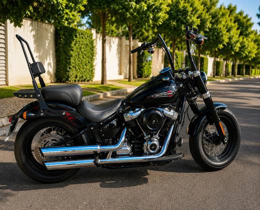 HARLEY-DAVIDSON SOFTAIL SLIM HARLEY-DAVIDSON SOFTAIL SLIM